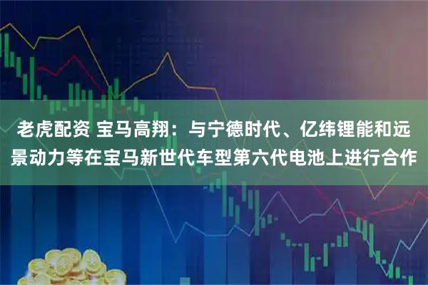 老虎配资 宝马高翔：与宁德时代、亿纬锂能和远景动力等在宝马新世代车型第六代电池上进行合作